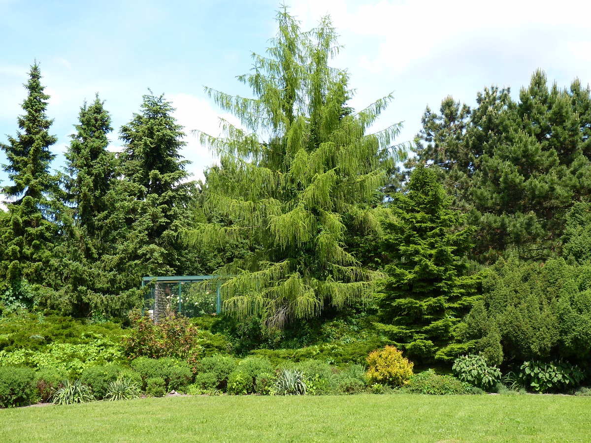 alt-"Zustiftung Gartenpflege Tierpark Berlin"