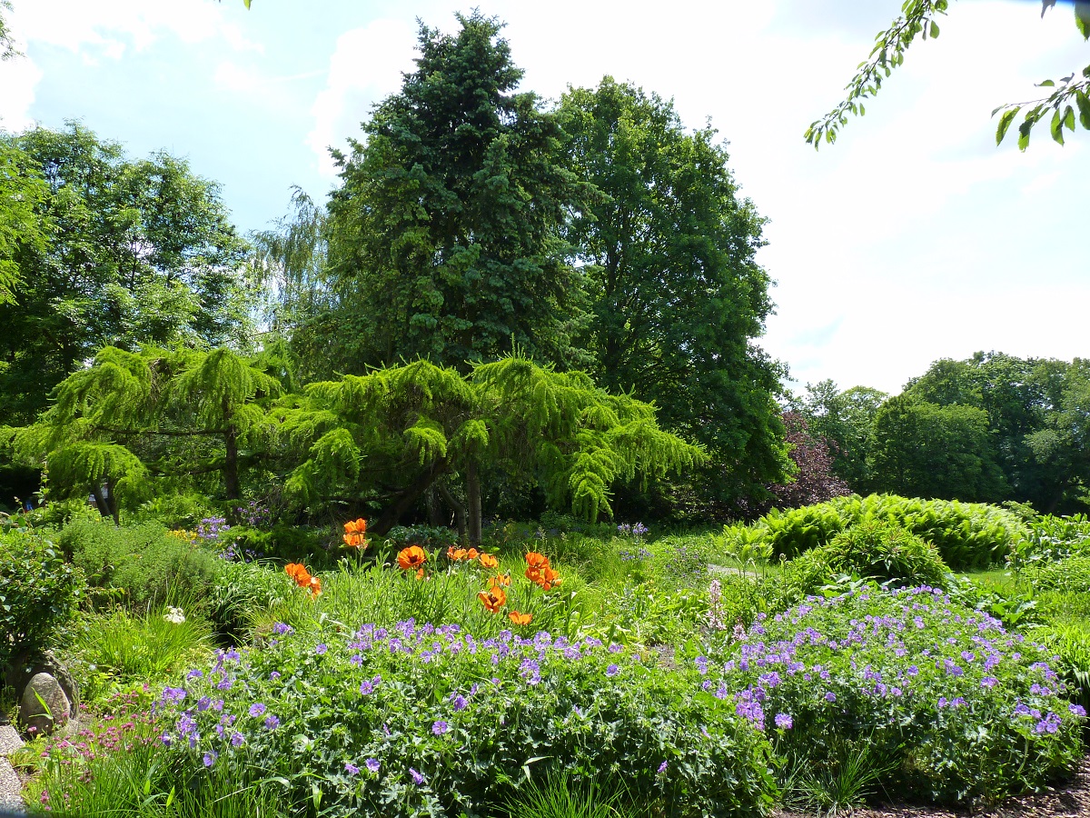 alt-"Stiftung Gartenpflege Tierpark Berlin"